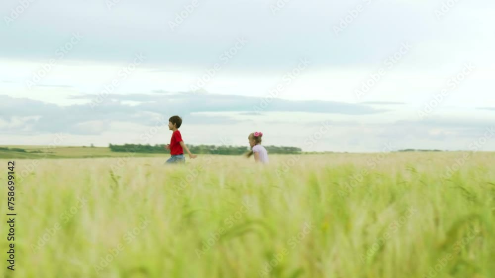 Sibling Little Kids Having Fun in the Summer Meadow. Running Carefree in the Summer Meadow. Playing Catch-up. The Concept of a Happy Carefree Childhood Sibling Little Kids Having Fun in the Summer Meadow. Running Carefree in the Summer Meadow. Playing Catch-up. The Concept of a Happy Carefree Childhood