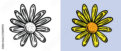 Hand Drawn Vintage Style Daisy Flowers Set in Doodle Style Sketch Isolated vector illustration for your designs Decorative retro natural daisy flowers for spring season or herbal concept. 