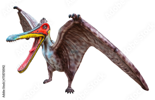 Cearadactylus is a genus of large anhanguerid pterodactyloid pterosaurs from the Early Cretaceous period photo