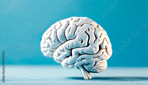 A sculptural 3D model white brain model stands against a soft blue background, symbolizing clarity and intellect.