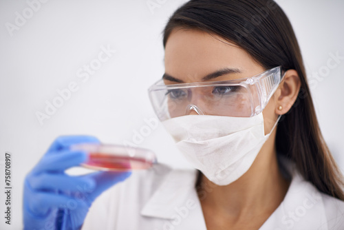 Science  mask and woman with petri dish for medical research  experiment for blood analysis in laboratory. Scientist  glasses and professional with culture plate  study and inspection for dna test