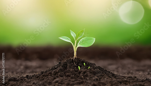small-green-sprout-in-soil-with-bokeh-background