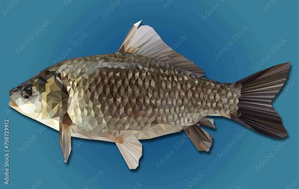 Fototapeta premium River fish crucian carp in triangulation style on blue background. Geometric fish| Abstract fish| Polygonal fish