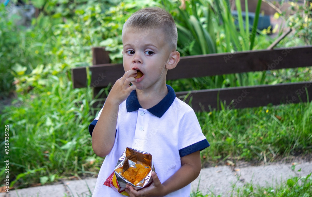 Fototapeta premium a child eats chips from a pack on the background of nature.