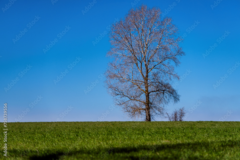 Fototapeta premium Landscapes of Kyiv sea in Kyiv region, Ukraine