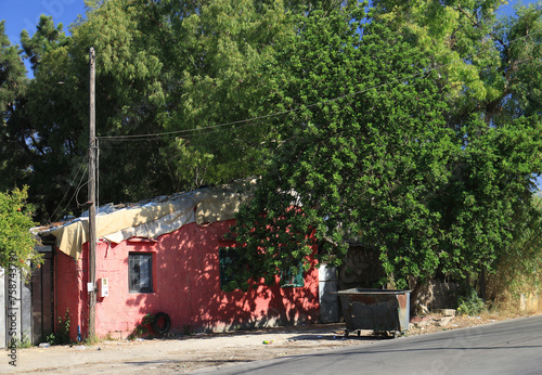 Pink House and Lush Tree