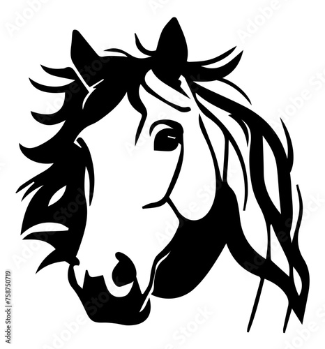 Fototapeta Naklejka Na Ścianę i Meble -  horse head vector
