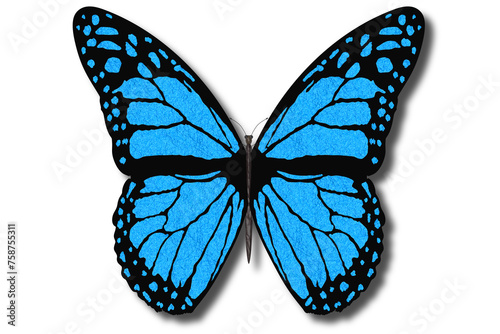 Farfalla colorata vola con le ali aperte su sfondo bianco.. photo