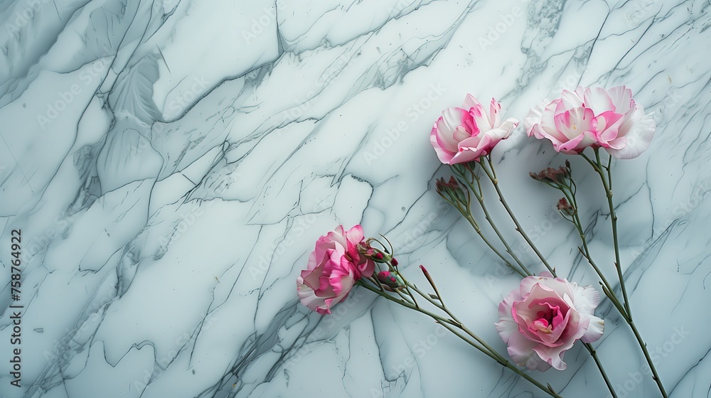 Różowe niewinne, łagodne kwiaty leżące na gładkiej marmurowej powierzchni, tworząc harmonijną kompozycję wiosennej eleganckiej i romantycznej sceny dla tekstu. - obrazy, fototapety, plakaty 