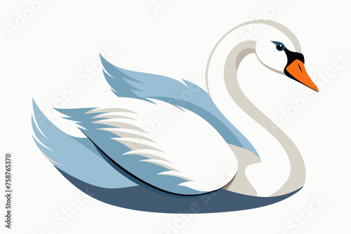 swan alone on white background 