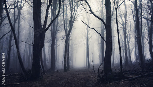 Dark forest with dead trees in fog. Mysterious horror scenery. Mystical atmosphere.