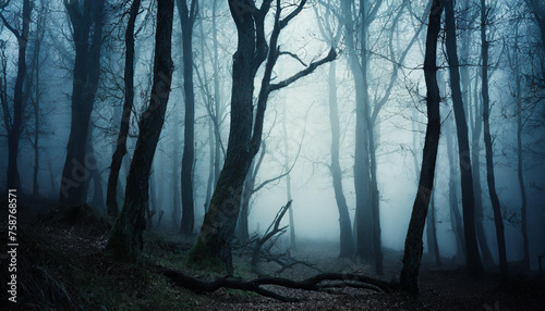 Dark forest with dead trees in fog. Mysterious horror scenery. Mystical atmosphere.