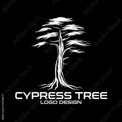 Cypress Tree Vector Logo Design