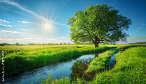Idyllic rural landscape with single tree and stream blue sky and the bright sun