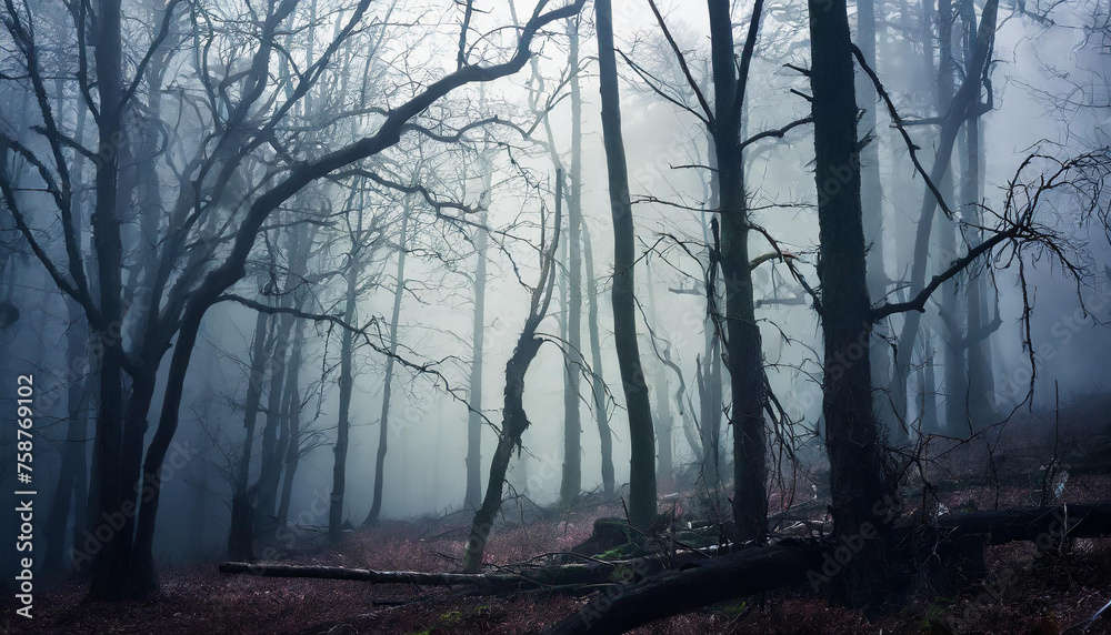 Dark forest with dead trees in fog. Mysterious horror scenery. Mystical atmosphere. Dark forest with dead trees in fog. Mysterious horror scenery. Mystical atmosphere.