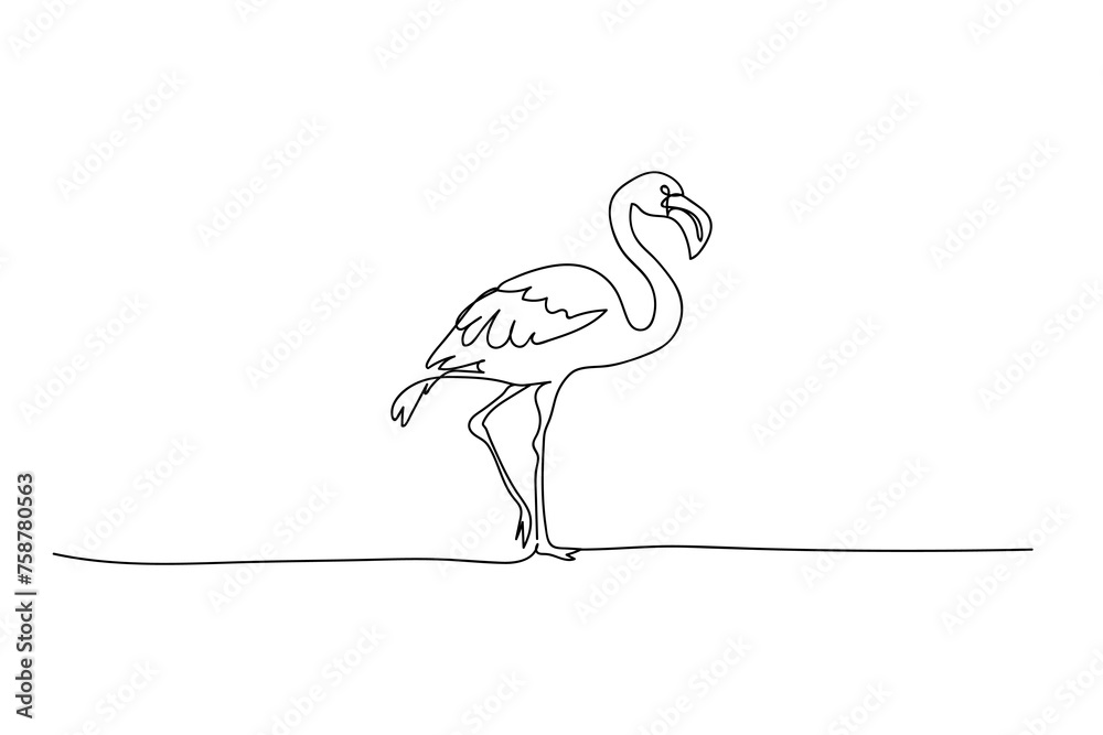 Fototapeta premium flamingo bird, black line drawing, one line outline on white background