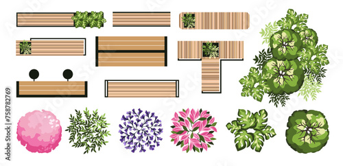 Top view elements for the landscape design plan. Trees and benches for architectural floor plans. Entourage design. Various trees, bushes, and shrubs. Vector illustration.