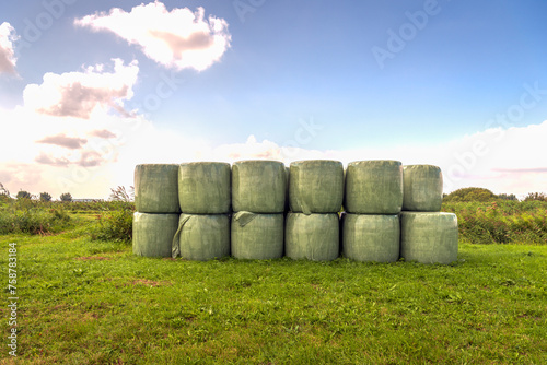 Bales of hay packed with green plastic film stacked on the edge of grassland in a Dutch nature reserve. It is a sunny summer day with some clouds in the sky.