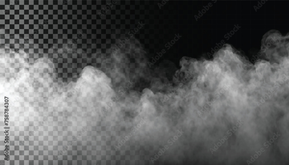 Adobe Illustrator Artwork Fog or smoke isolated transparent background. White cloudiness, mist, smog, dust, vapor PNG - obrazy, fototapety, plakaty 