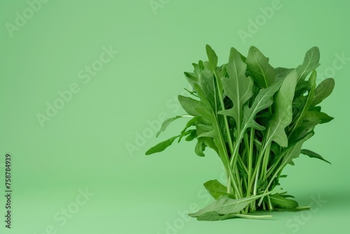 Cluster of Green Leaves on Green Background