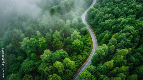 Aerial view of a winding road in the forest with fog.