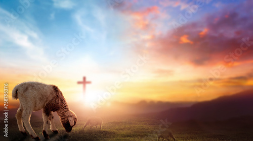 Easter concept, Christ Jesus concept, Flock of sheep on cross and sunset background © paul