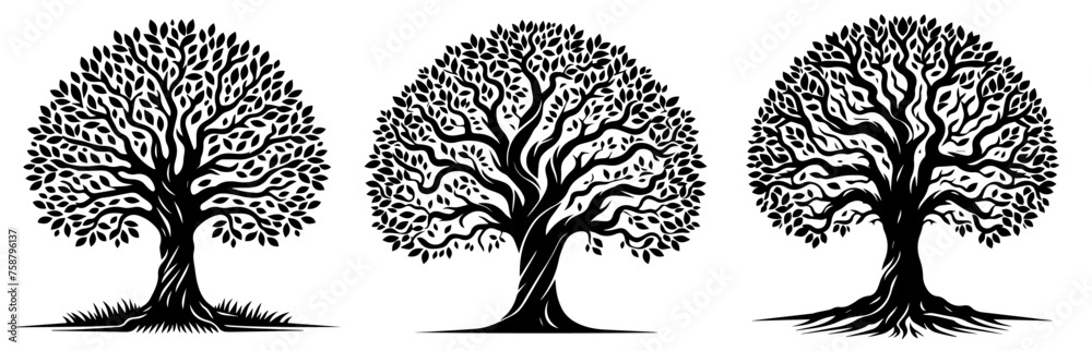 ornamental trees with many entangled branches, oak tree, black vector graphic - obrazy, fototapety, plakaty 