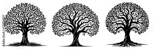 ornamental trees with many entangled branches, oak tree, black vector graphic