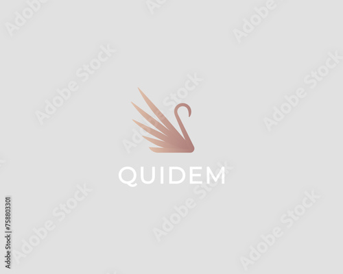 Графика и иллюстрации