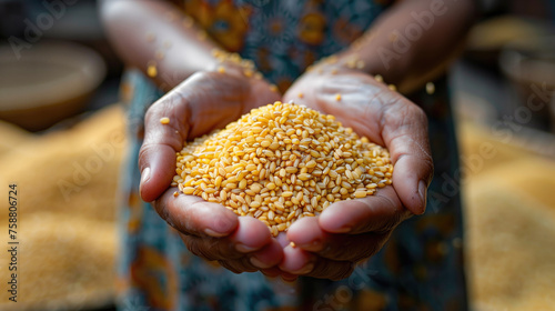 Hands of a woman farmer close-up holding a handful of wheat grains.