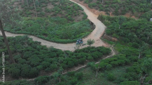 Aerial view of tuk tuk driving between the tea plantations, Kandy, Sri Lanka photo