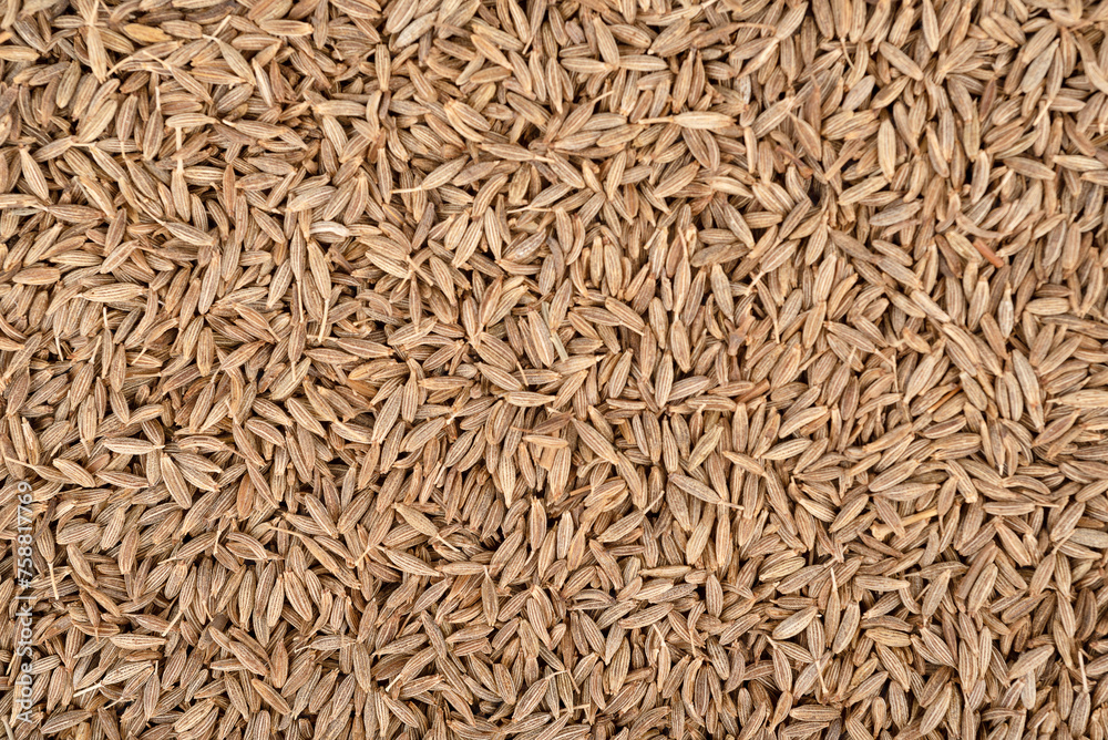 Full frame of cumin seeds as textured background.