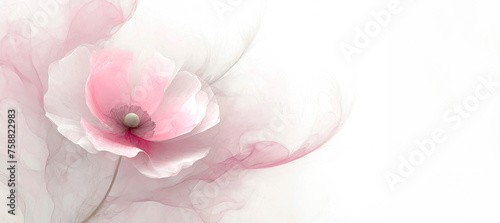Coquelicot, fleur rose. Papier peint fleurs, arrière-plan.  Espace vide © Iwona