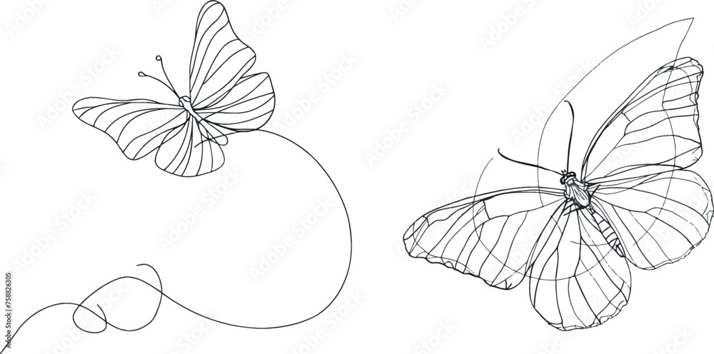 Fluttering moth, nature beauty minimalist botanical hand drawn flying insect vector illustration