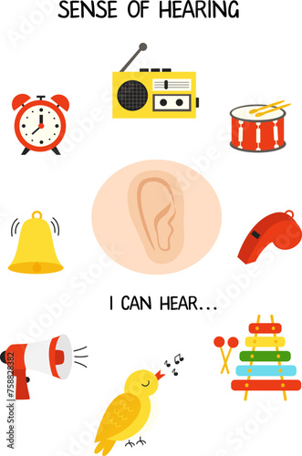 Five senses poster. Sense of hearing. Worksheet for kids.