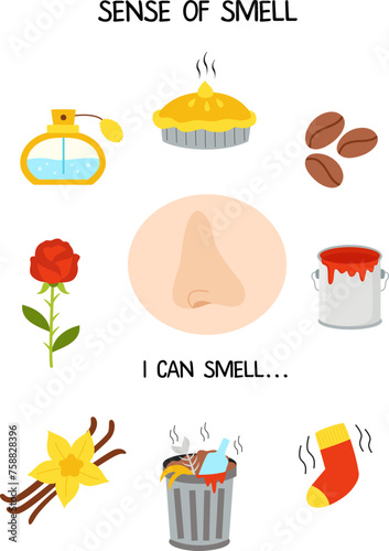 Sense organs. Sense of smell. Vector illustration. Worksheet for kids.