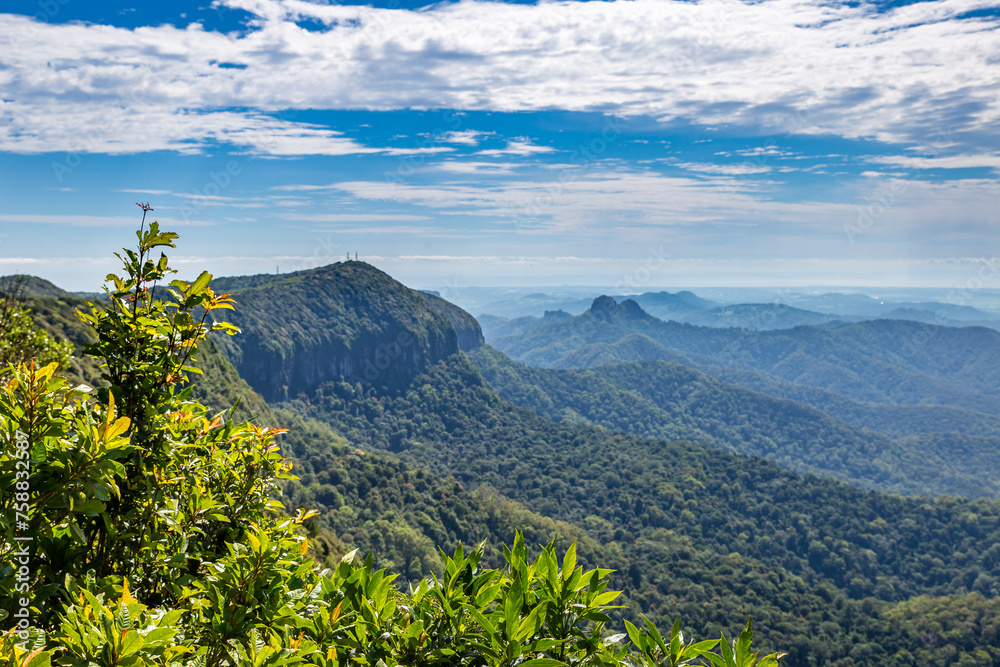 View over Rainforest from Best of all Lookout in Springbrook National Park, New South Wales, Australia.