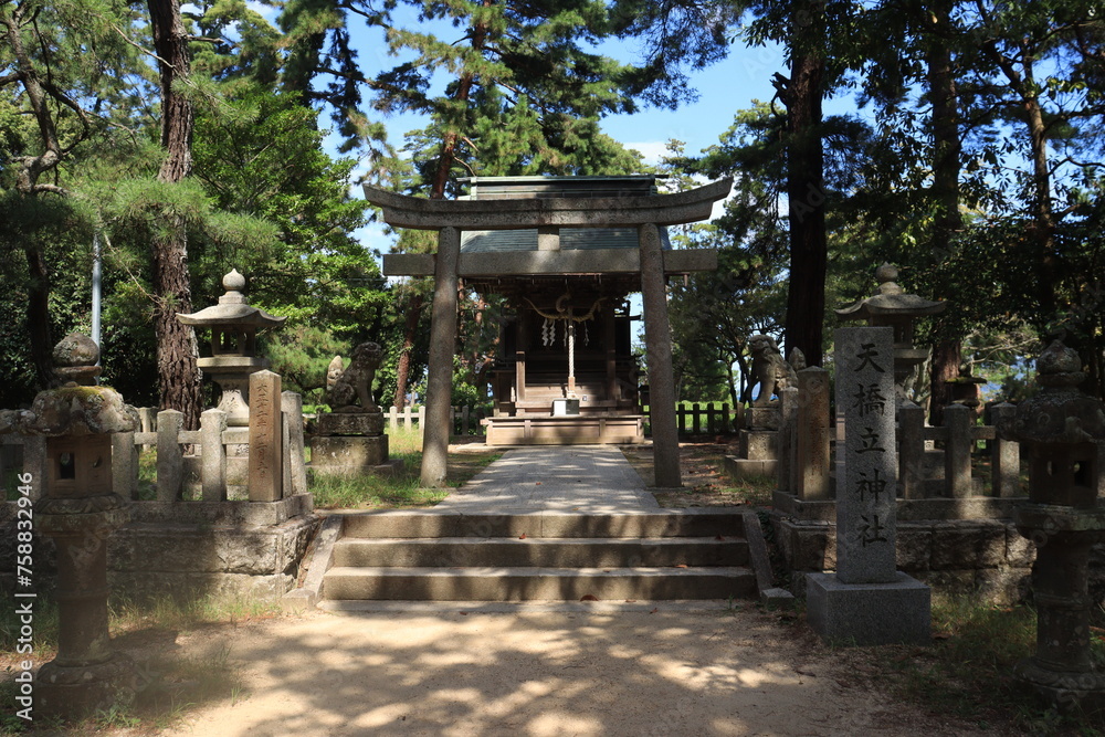 Obraz premium 天橋立