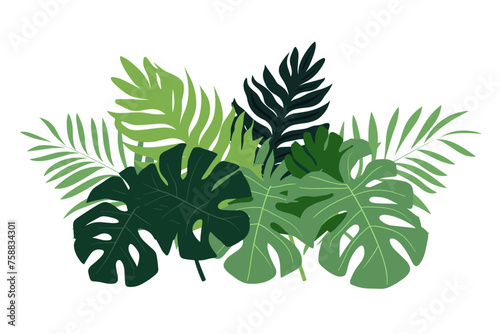 Tropical leaves collection. Vector isolated elements on the white background.	 photo