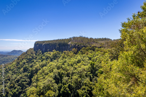 Rock Formation in Rainforest of Springbrook National Park  Queensland  Australia.