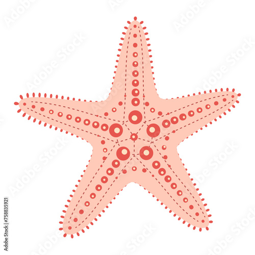 Starfish flat style. Cute Pink Starfish horned sea star or chocolate chip sea star. Sea animal cartoon. Echinoderm. Underwater Marine icon Isolated on white background. Summer vector illustration