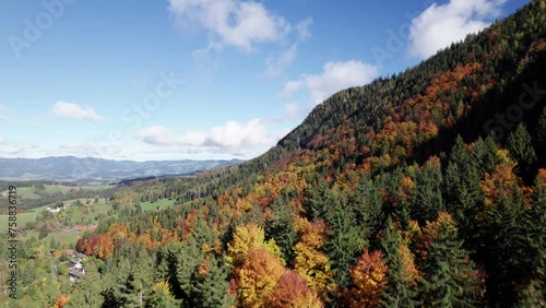 Drone flying along an autumn colored forest in the Semriach region photo