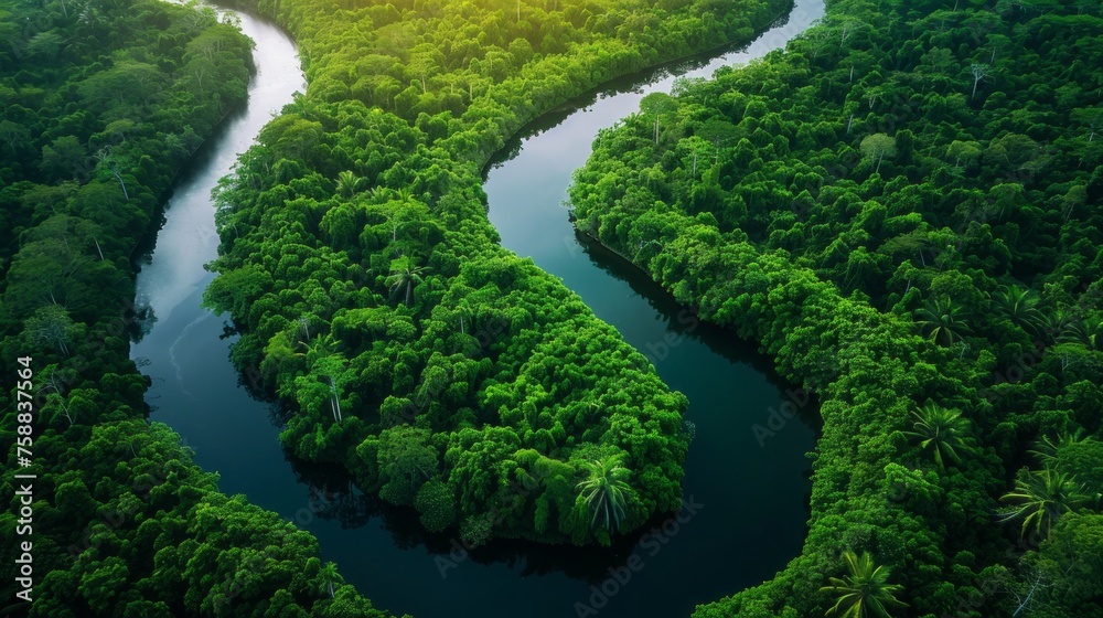View from above of a huge winding river flowing through the thickets of the rainforest. Natural background View from above of a huge winding river flowing through the thickets of the rainforest. Natural background