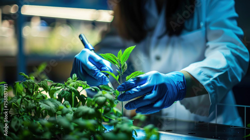 A person wearing blue gloves holds a plant in their hands, showcasing care for the greenery