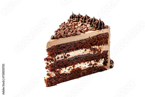 Chocolate Cake Delighton transparent background,