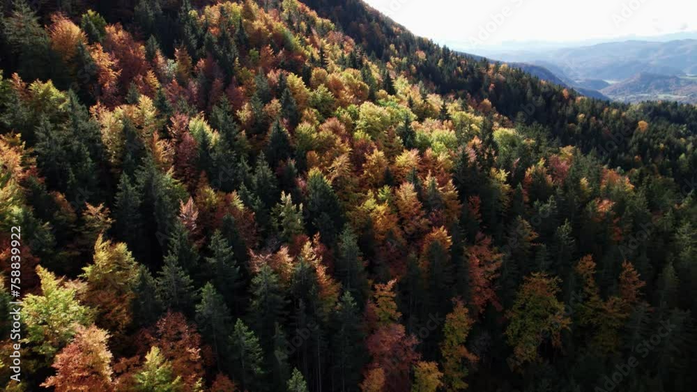 Drone flying towards and circling over a forest of autumn colored trees, in the Semriach region Drone flying towards and circling over a forest of autumn colored trees, in the Semriach region