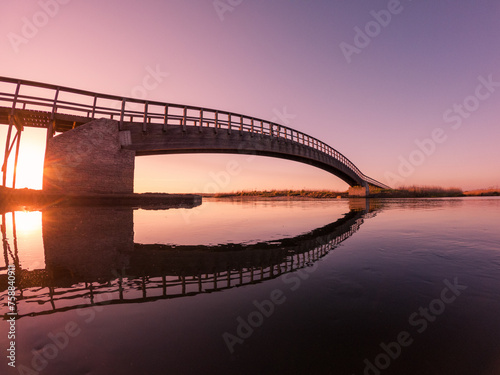 Wooden bridge over the water © homydesign