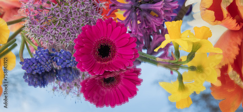abstract background of colorful flowers and their reflection on mirror with blue sky