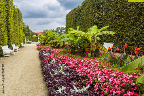 Park in Warsaw with red begonias, banana plants. A path among cypress hedges and white benches. Landscape design