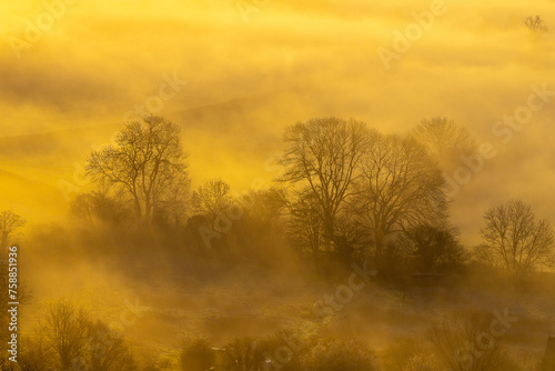 Capturing the Mystical Sunrise at the top Glastonbury Tor: A Stunning Blend of Mist, Sunlight, and Natural Beauty